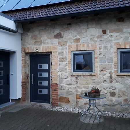 Ferienwohnung Gaensebluemchen Wartenburg Εξωτερικό φωτογραφία