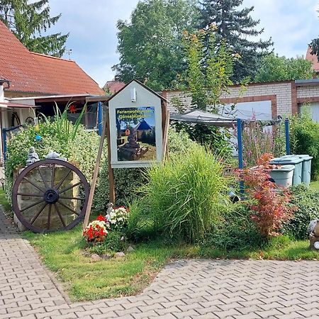Ferienwohnung Gaensebluemchen Wartenburg Εξωτερικό φωτογραφία