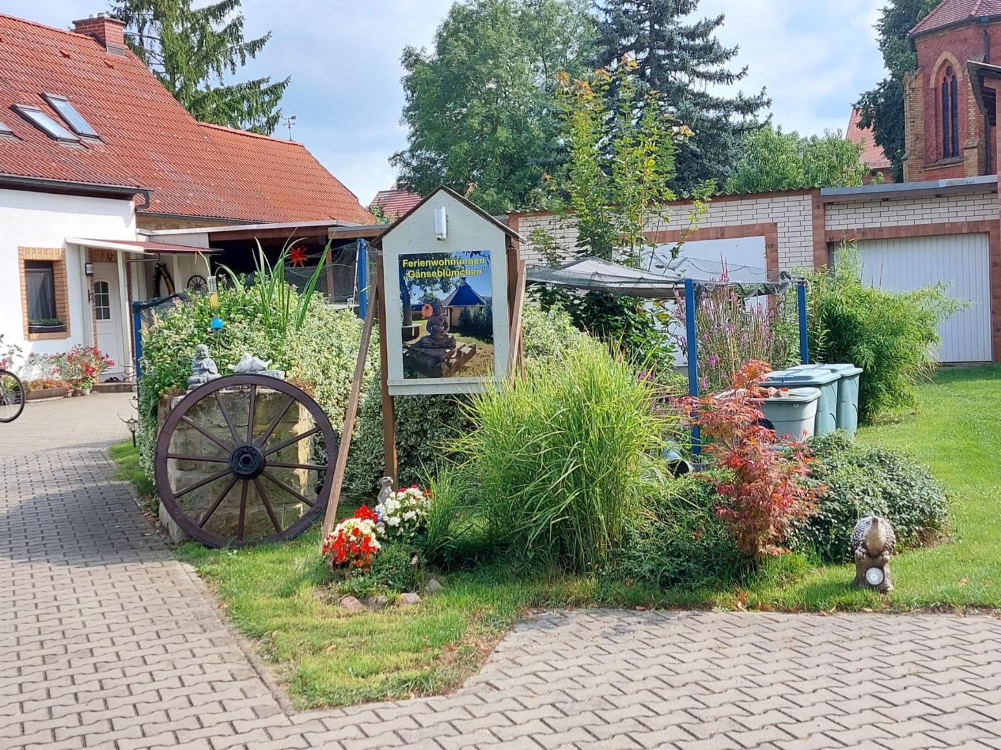 Ferienwohnung Gaensebluemchen Wartenburg Εξωτερικό φωτογραφία